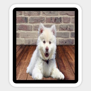 White dog Sticker